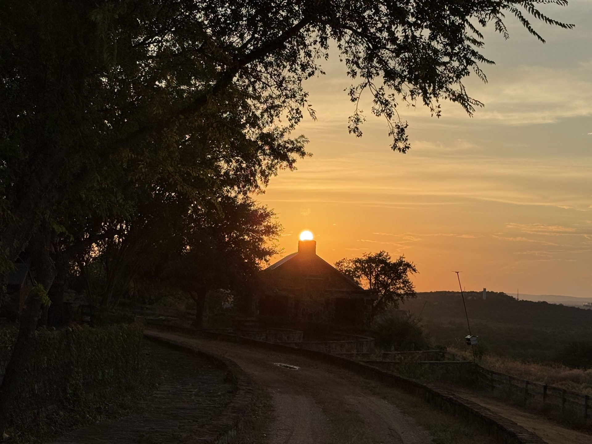 Sunset through the trees